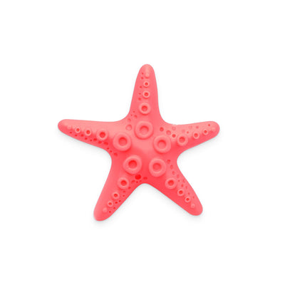 Mini Starfish Car Vent Air Freshener